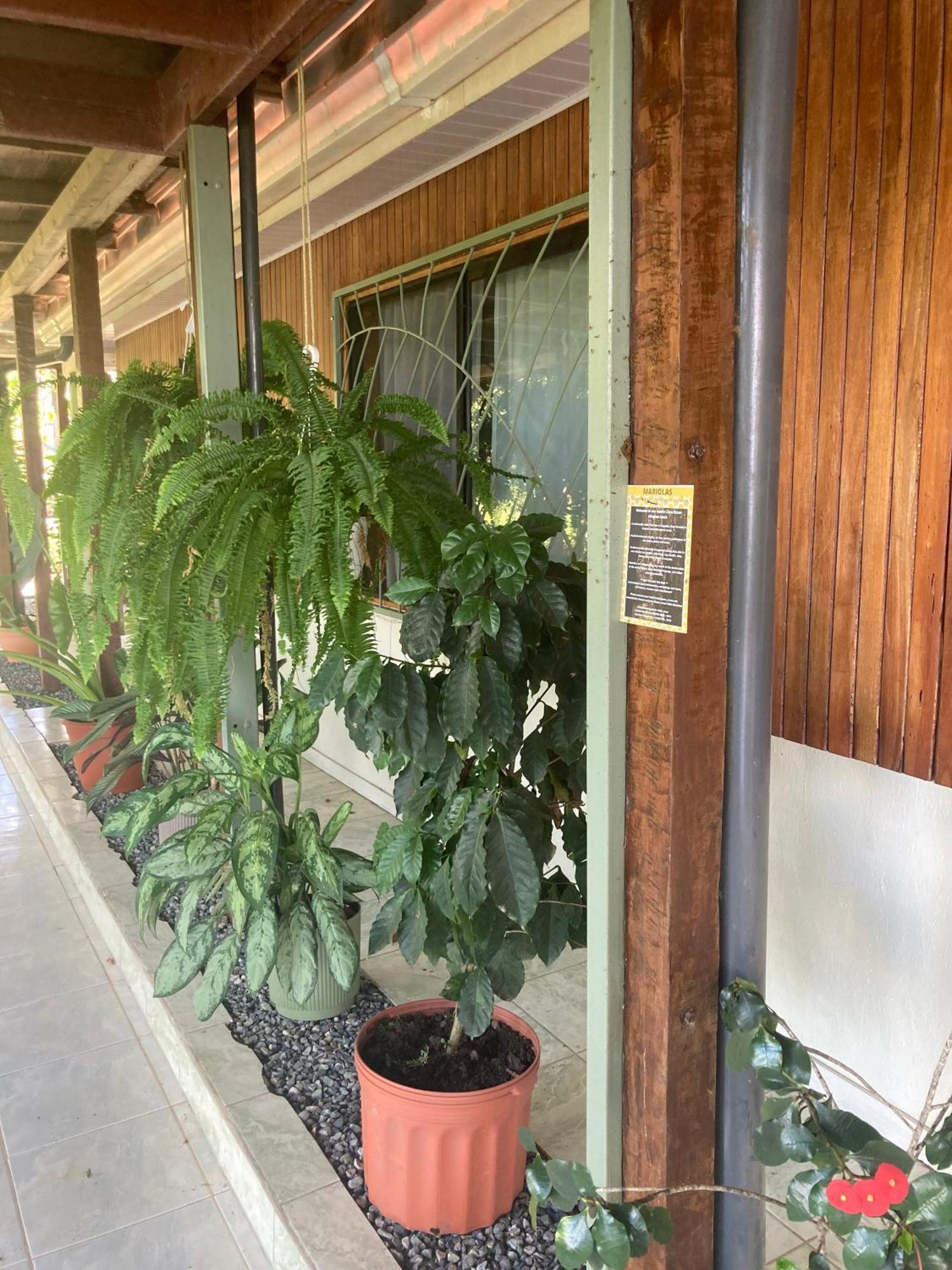 Casa Oh - Oceanview Guesthouse Uvita Exterior photo